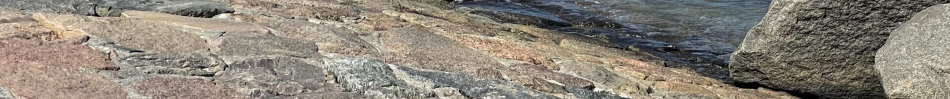 Etappe 10 – Warnemünde: Perfekter Segeltag, neugierige Seehunde und ein Gewitter zur Schlafenszeit